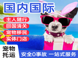 天府机场空运国际宠物托运 【国
